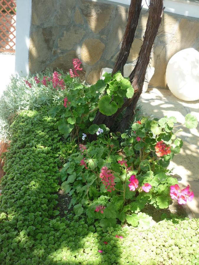 Guest House Harmony Veliko Tarnovo Ngoại thất bức ảnh